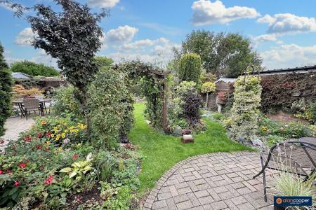Media image 20