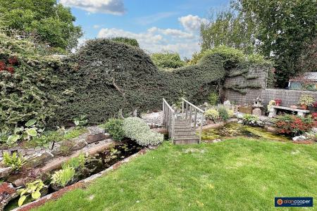 Media image 23