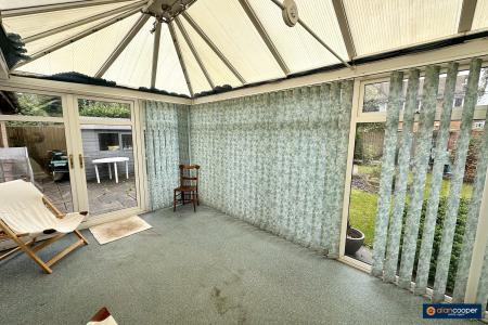 Media image 12