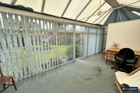 Media image 11