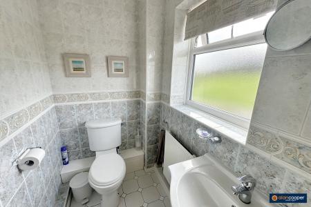 Media image 10