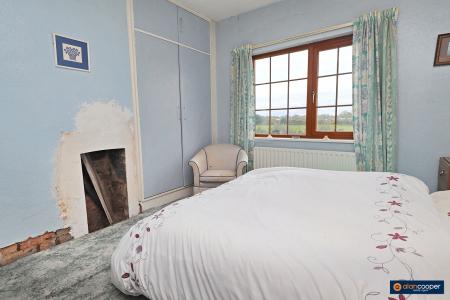 Media image 11