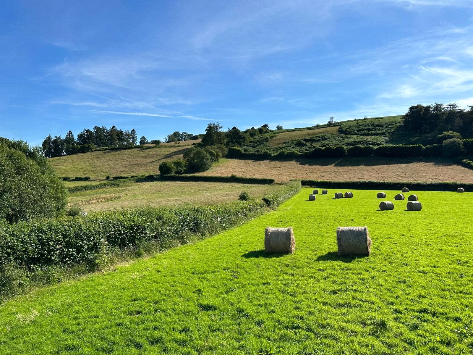 House For Sale In Herefordshire