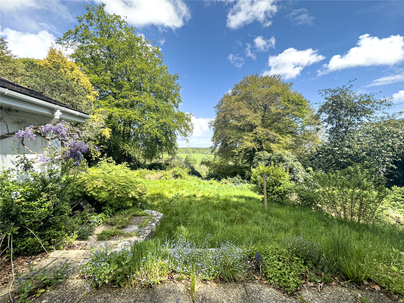 Detached Bungalow for sale with 4 bedrooms, Avon Castle Drive, Ringwood