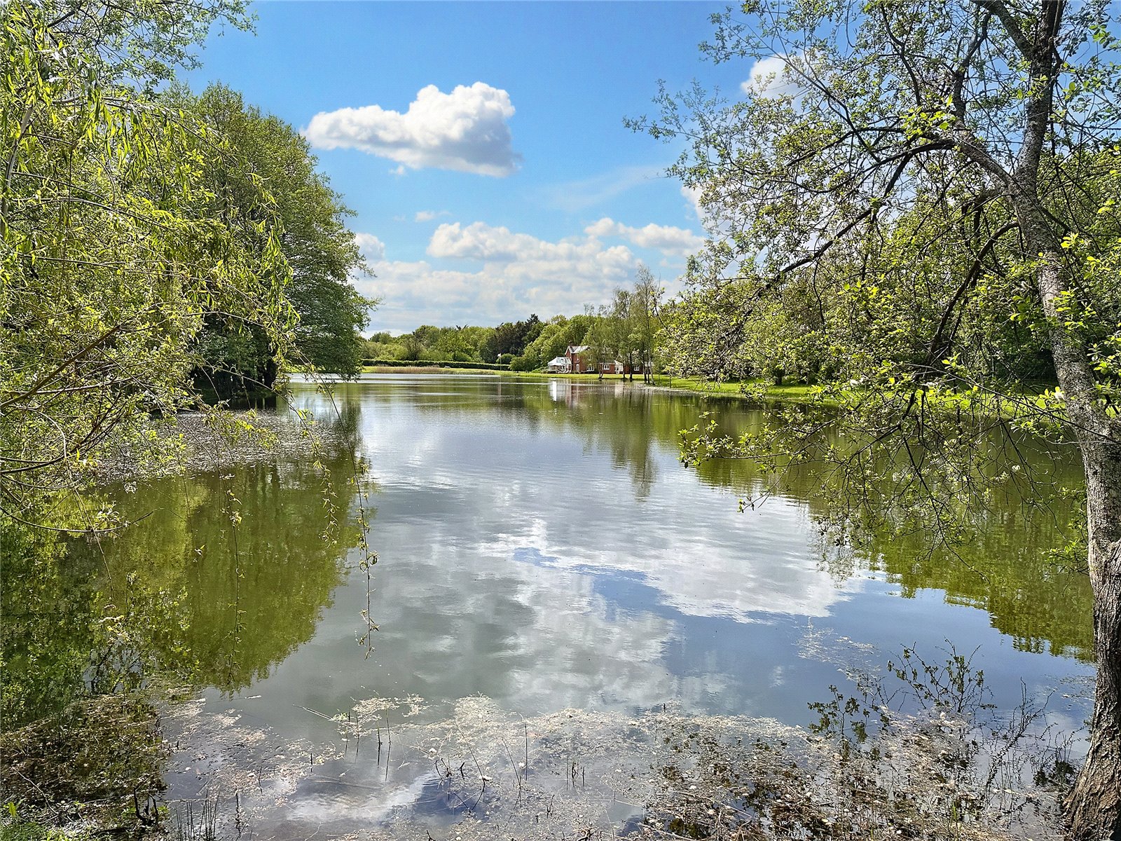 Detached House for sale with 3 bedrooms, Woolmer Lane, Blashford Fine