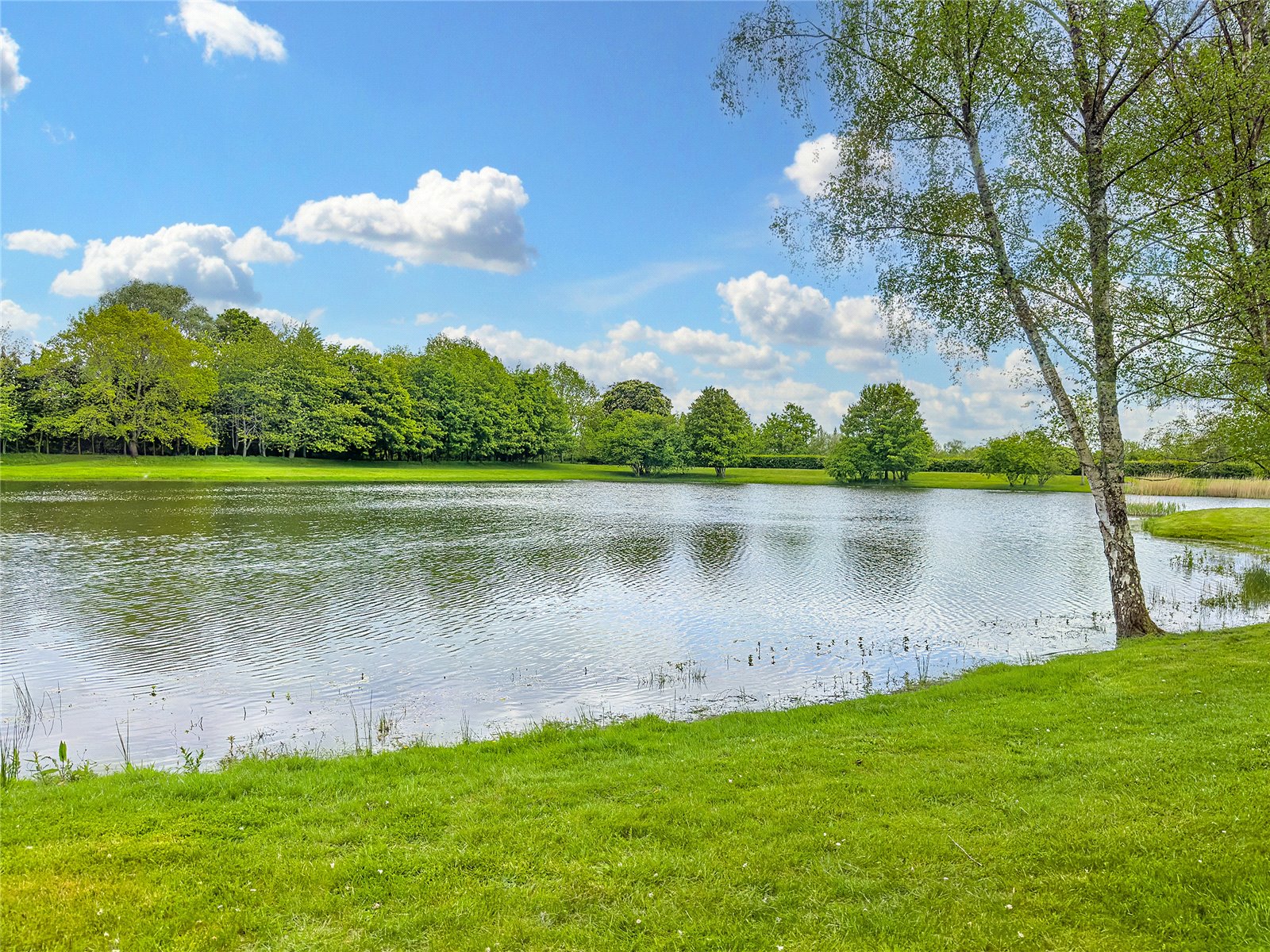 Detached House for sale with 3 bedrooms, Woolmer Lane, Blashford Fine