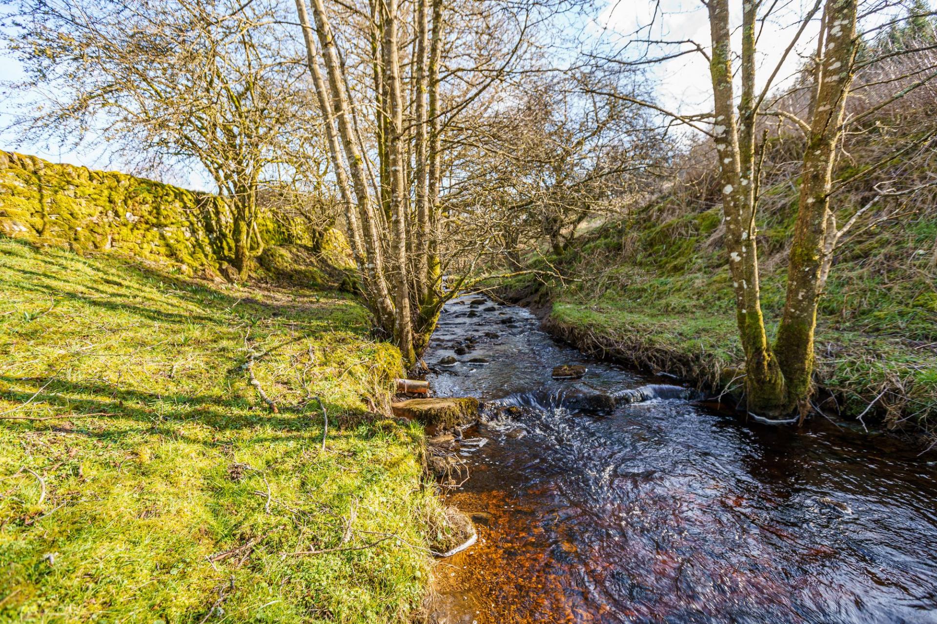 Detached House for sale with 3 bedrooms, Florida Steading, near