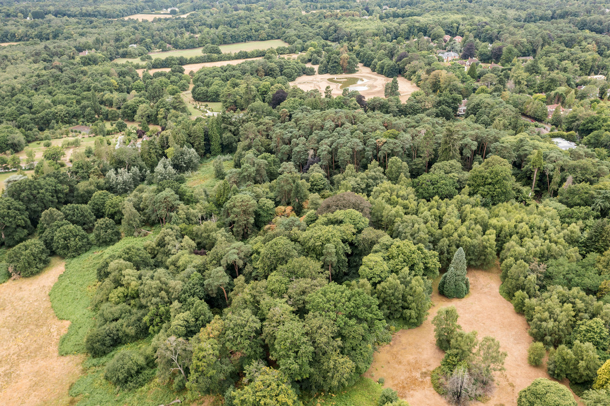 Land for sale , Devenish Road, Sunningdale Fine & Country