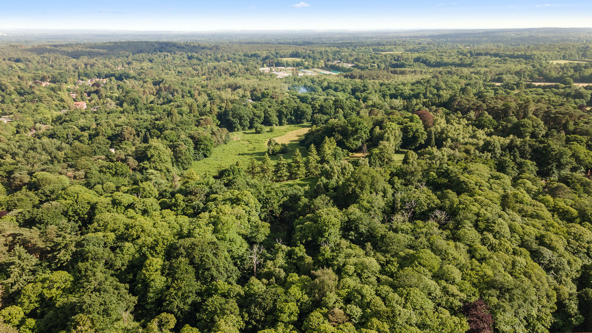 Land for sale , Devenish Road, Sunningdale Fine & Country