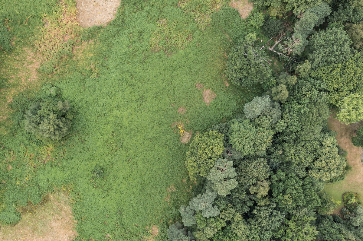 Land for sale , Devenish Road, Sunningdale Fine & Country