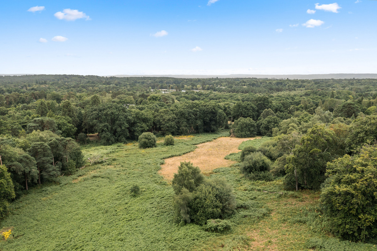 Land for sale , Devenish Road, Sunningdale Fine & Country