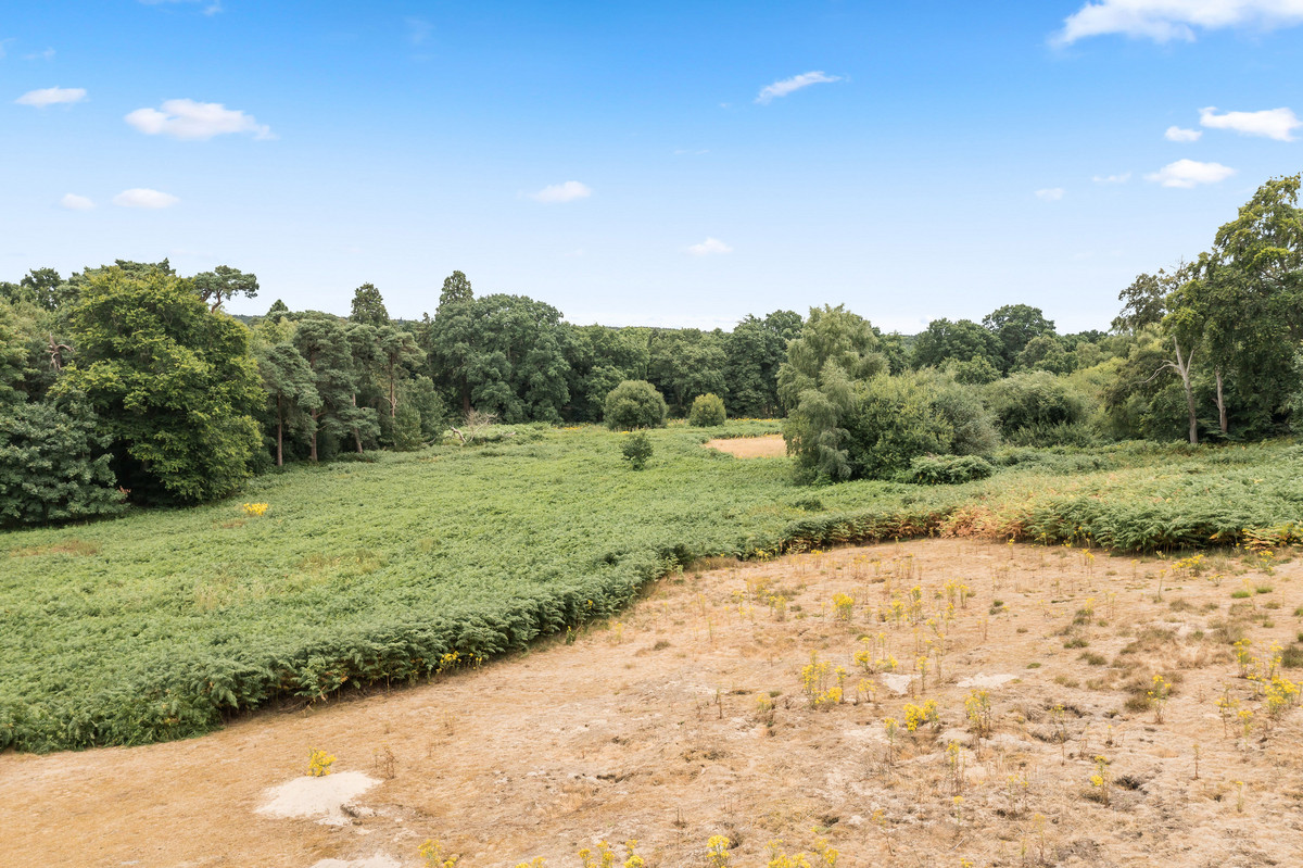 Land for sale , Devenish Road, Sunningdale Fine & Country