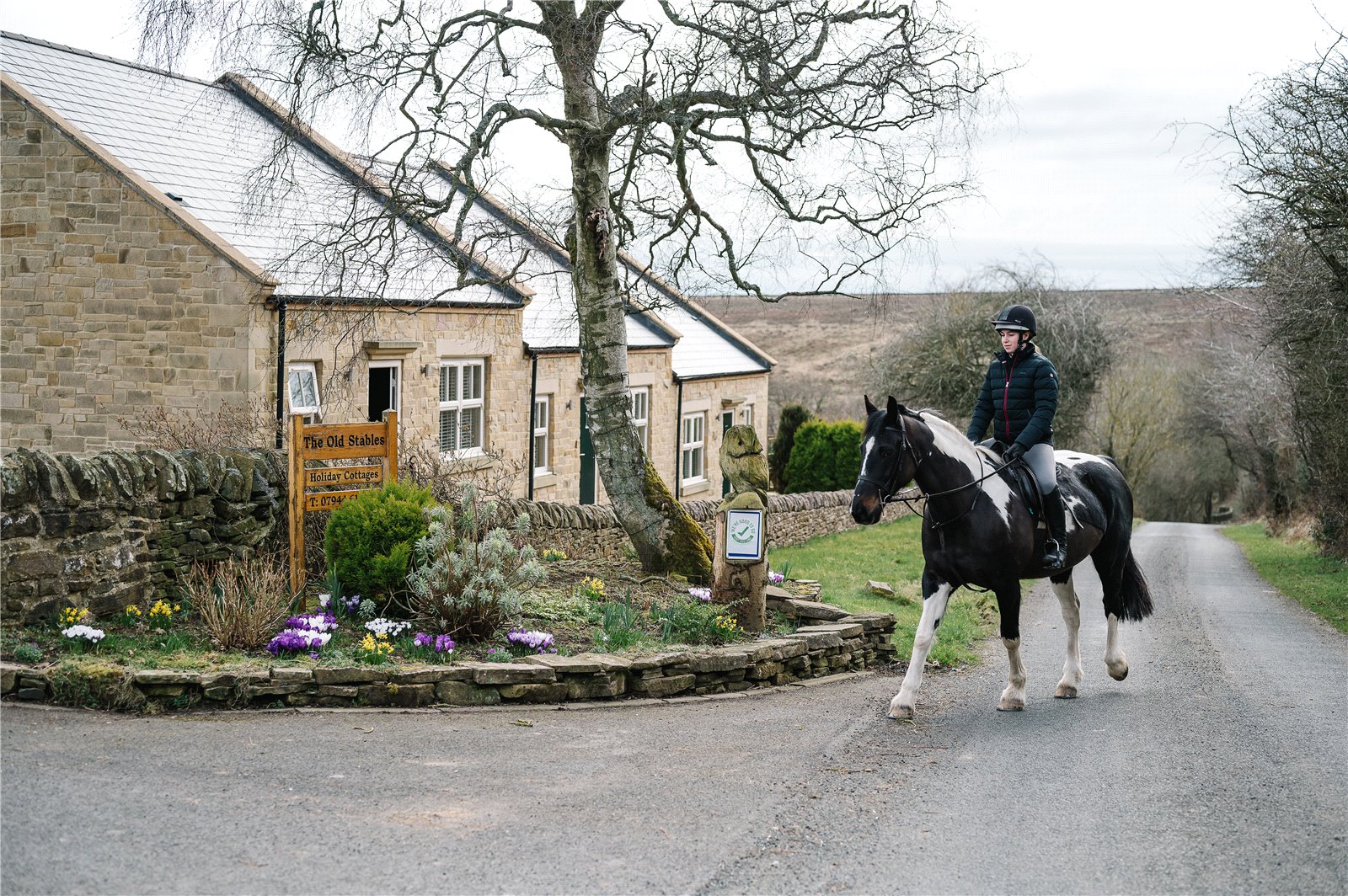 Equestrian for sale with 4 bedrooms, Forest Lodge and The Old Stables