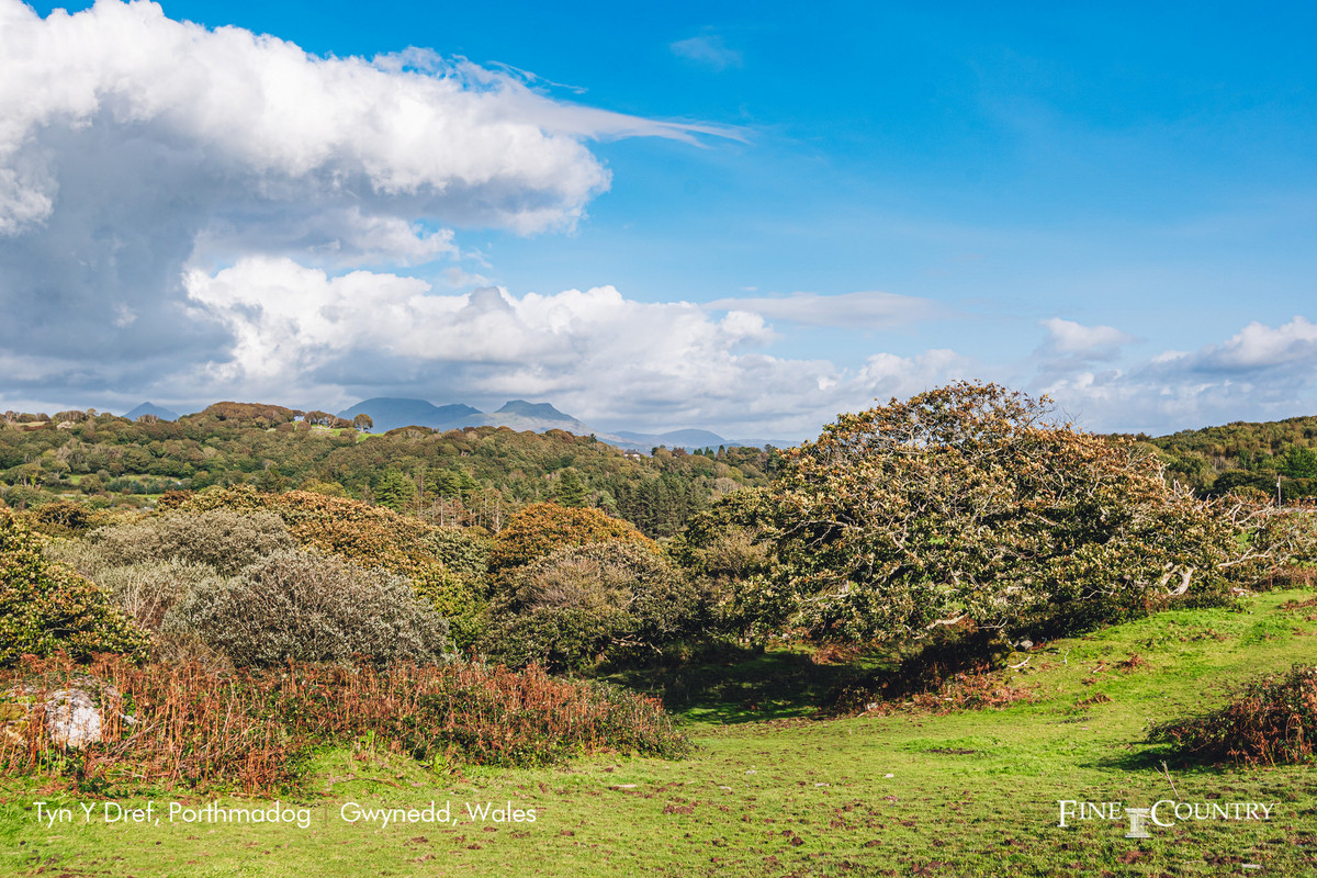 Detached Bungalow for sale with 4 bedrooms, Morfa Bychan Road
