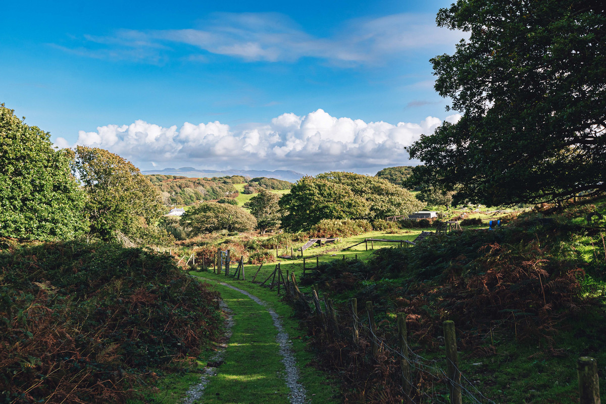Detached Bungalow for sale with 4 bedrooms, Morfa Bychan Road