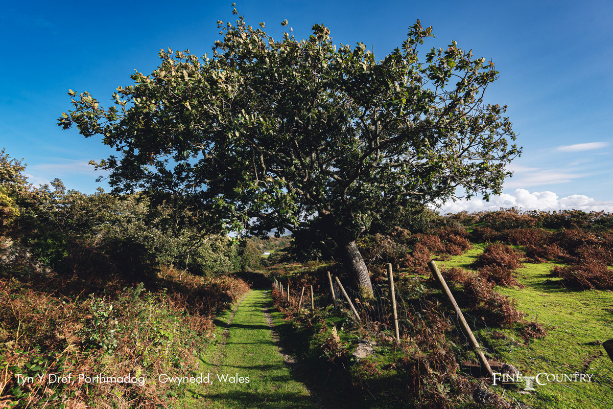 Detached Bungalow for sale with 4 bedrooms, Morfa Bychan Road, Porthmadog Fine & Country