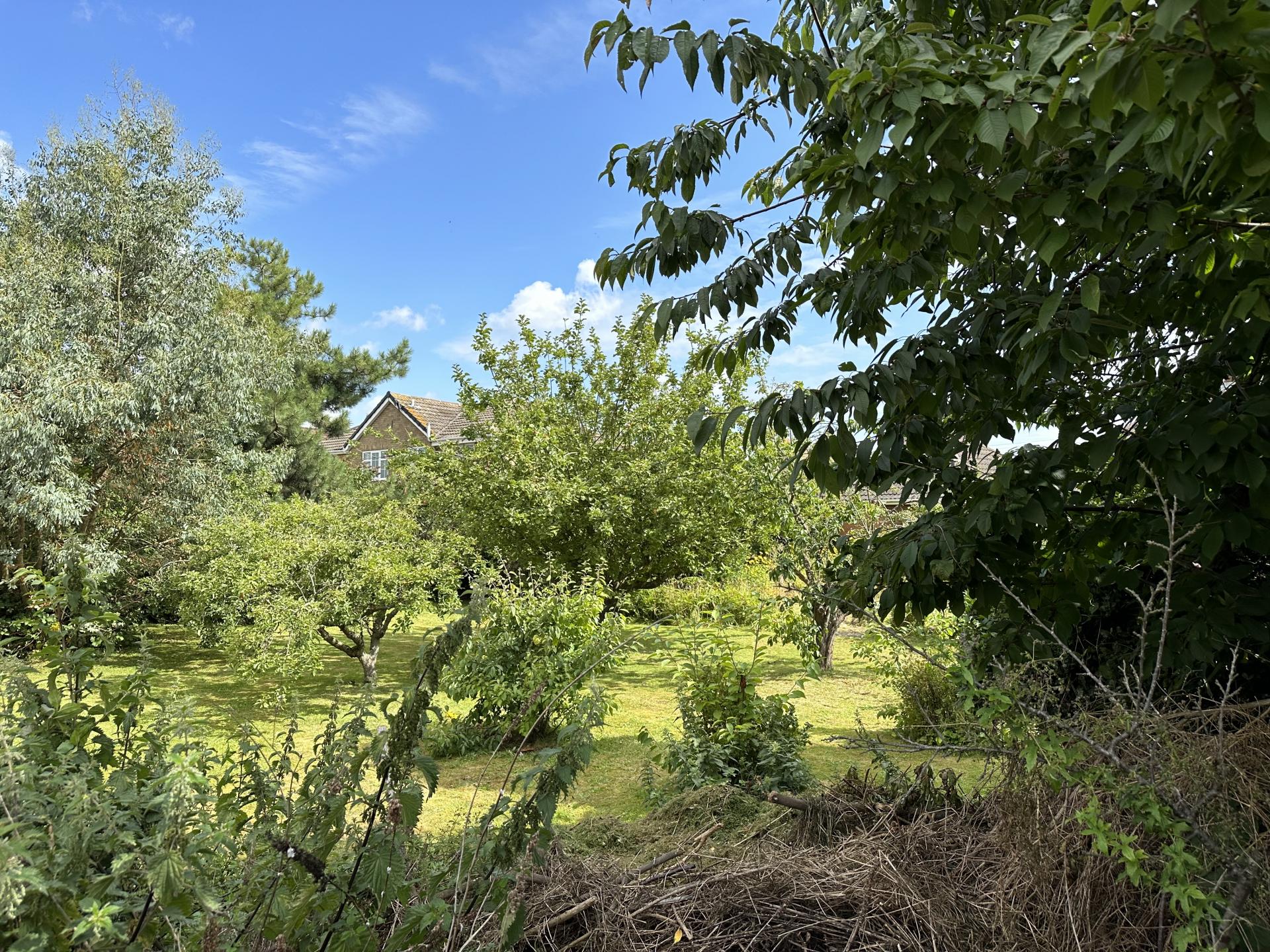 Detached Bungalow for sale with 3 bedrooms, Stonehaven & Building Plot