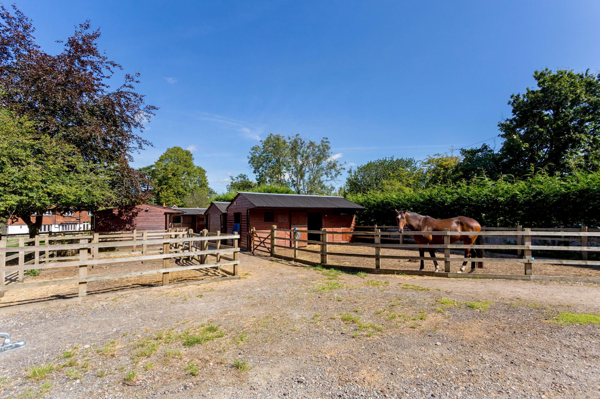 7 bedroom Equestrian for sale in Lower Kingswood