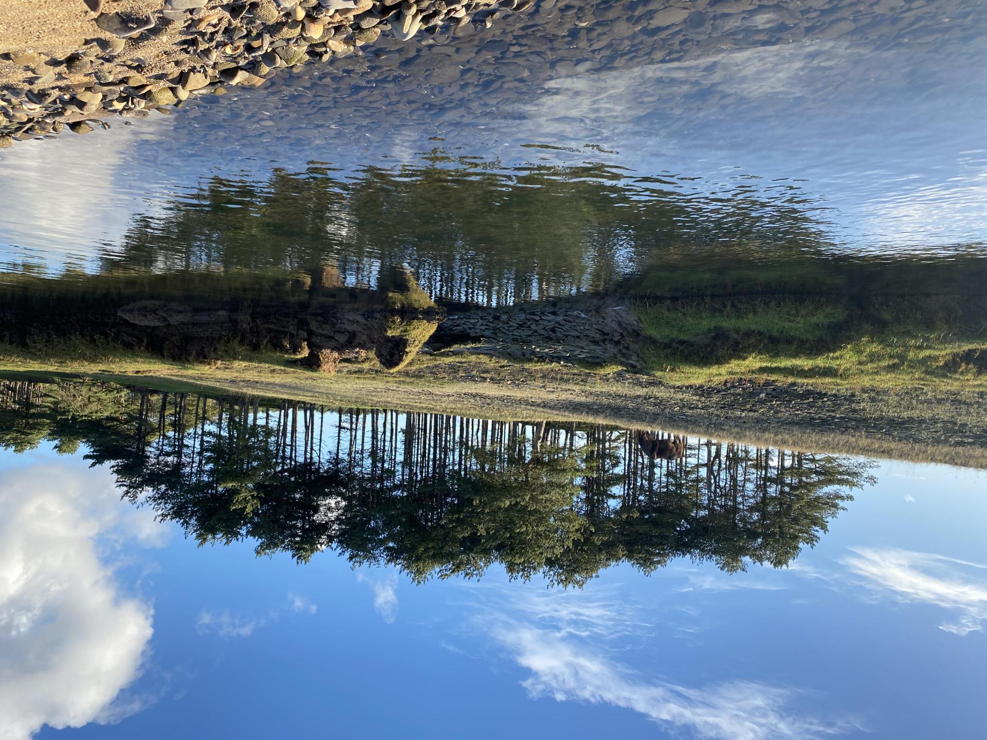 Detached House for sale with 5 bedrooms, Cwm Ivy Court Farm, Llanmadoc