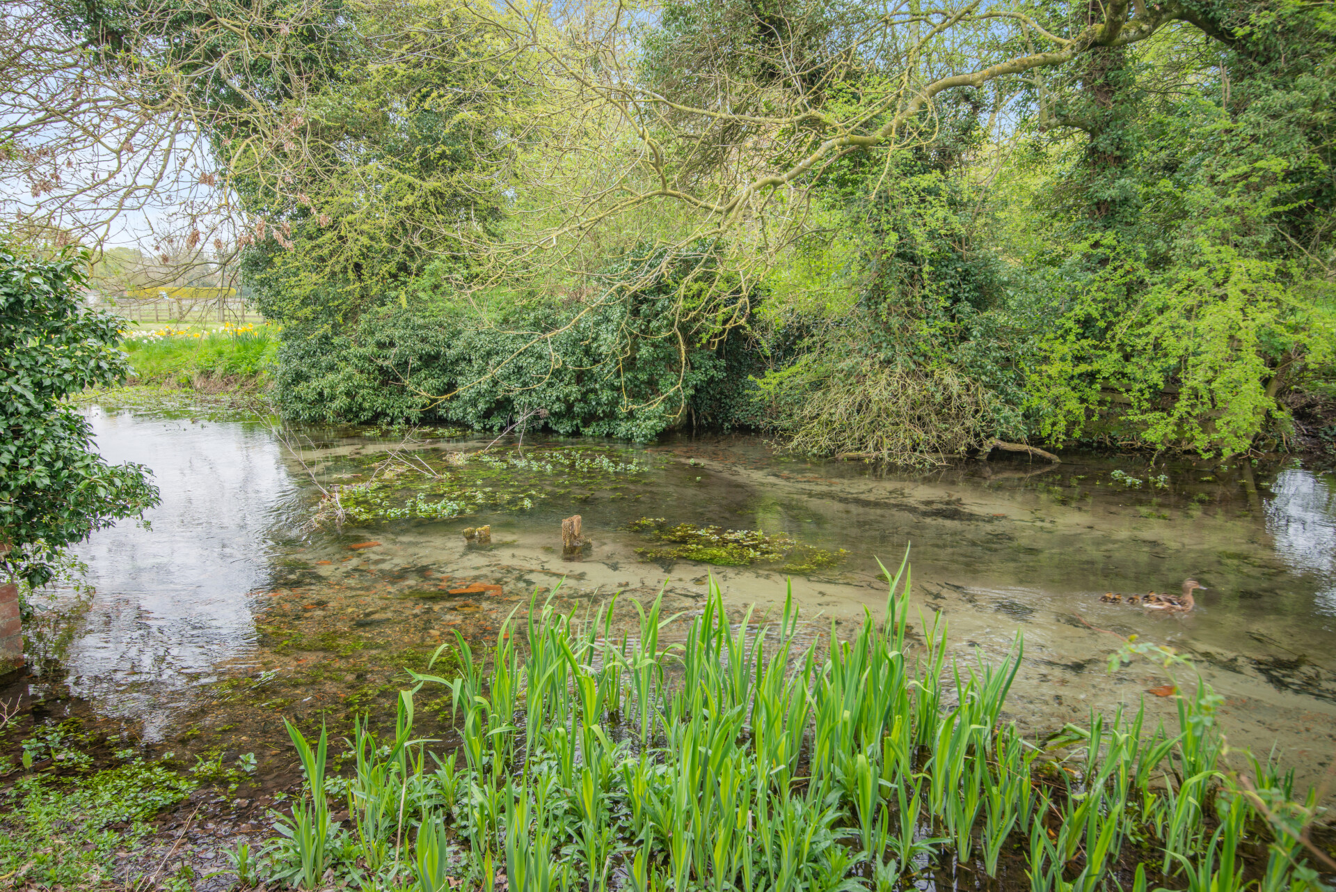 Detached House for sale with 4 bedrooms, Carr Lane, BromptonBySawdon Fine & Country