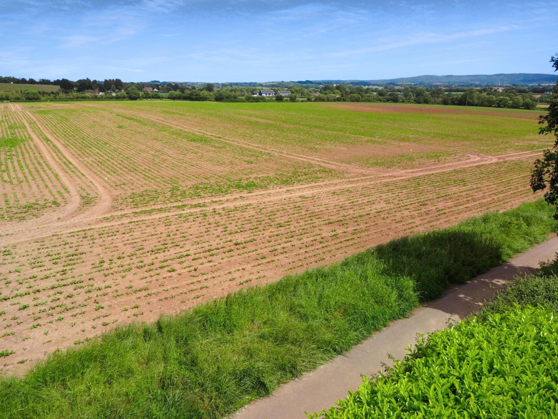 Detached House for sale with 4 bedrooms, Nynehead, Wellington Fine