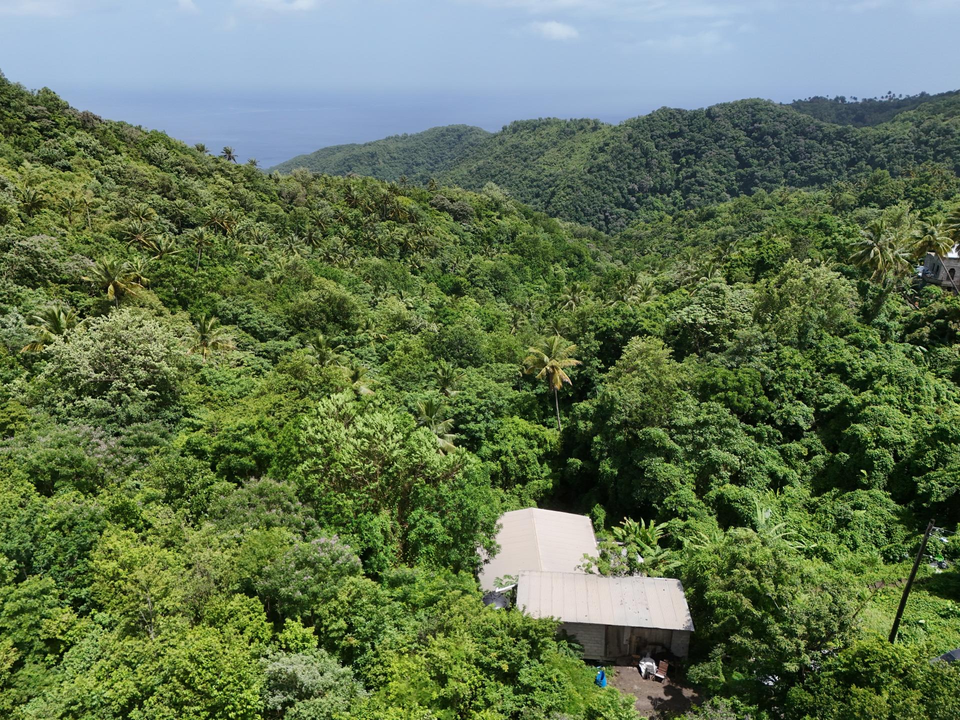 St Lucia House With Land for - IMG Aq6As9xIvmC7xXkrTUo3k6oDBZUSxpFo6jAkrXiE1s9zZLAFtZ4eHUISgbS6 Hd