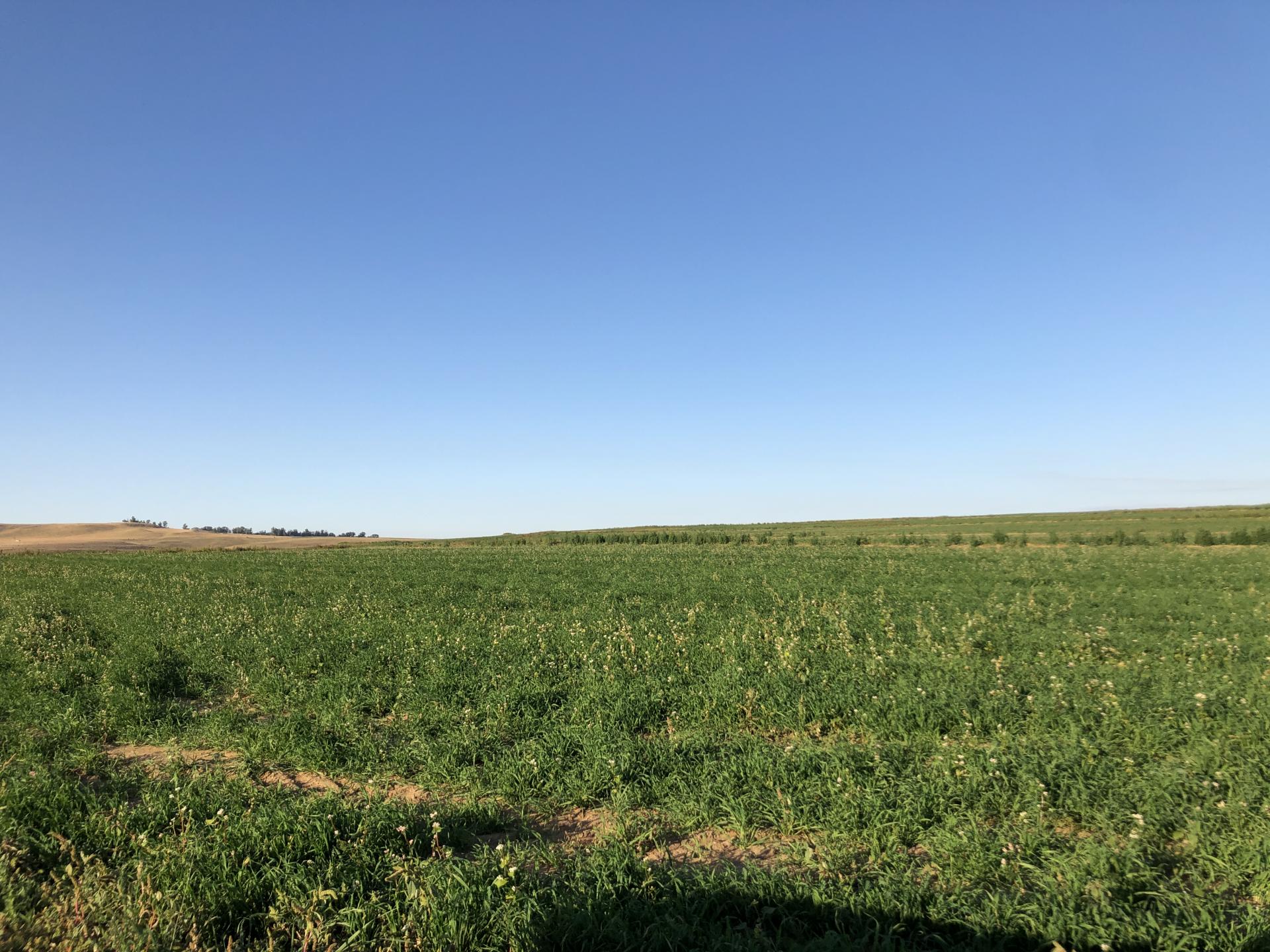 Farm for sale , Farm, district Kransfontein | Fine & Country