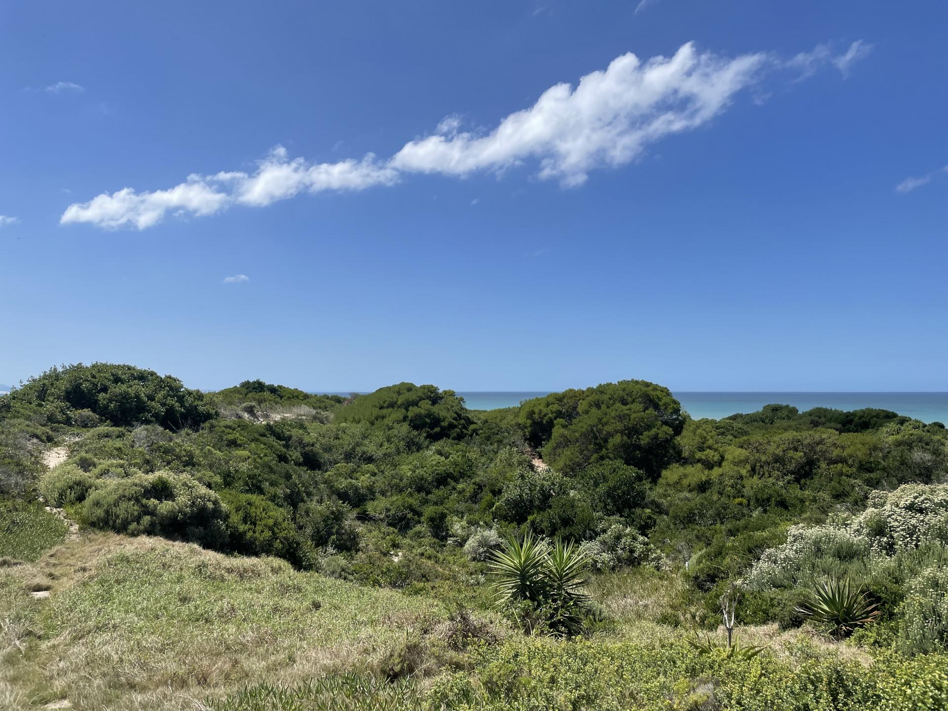 Land for sale , Paradise Beach, Jeffreys Bay Fine & Country