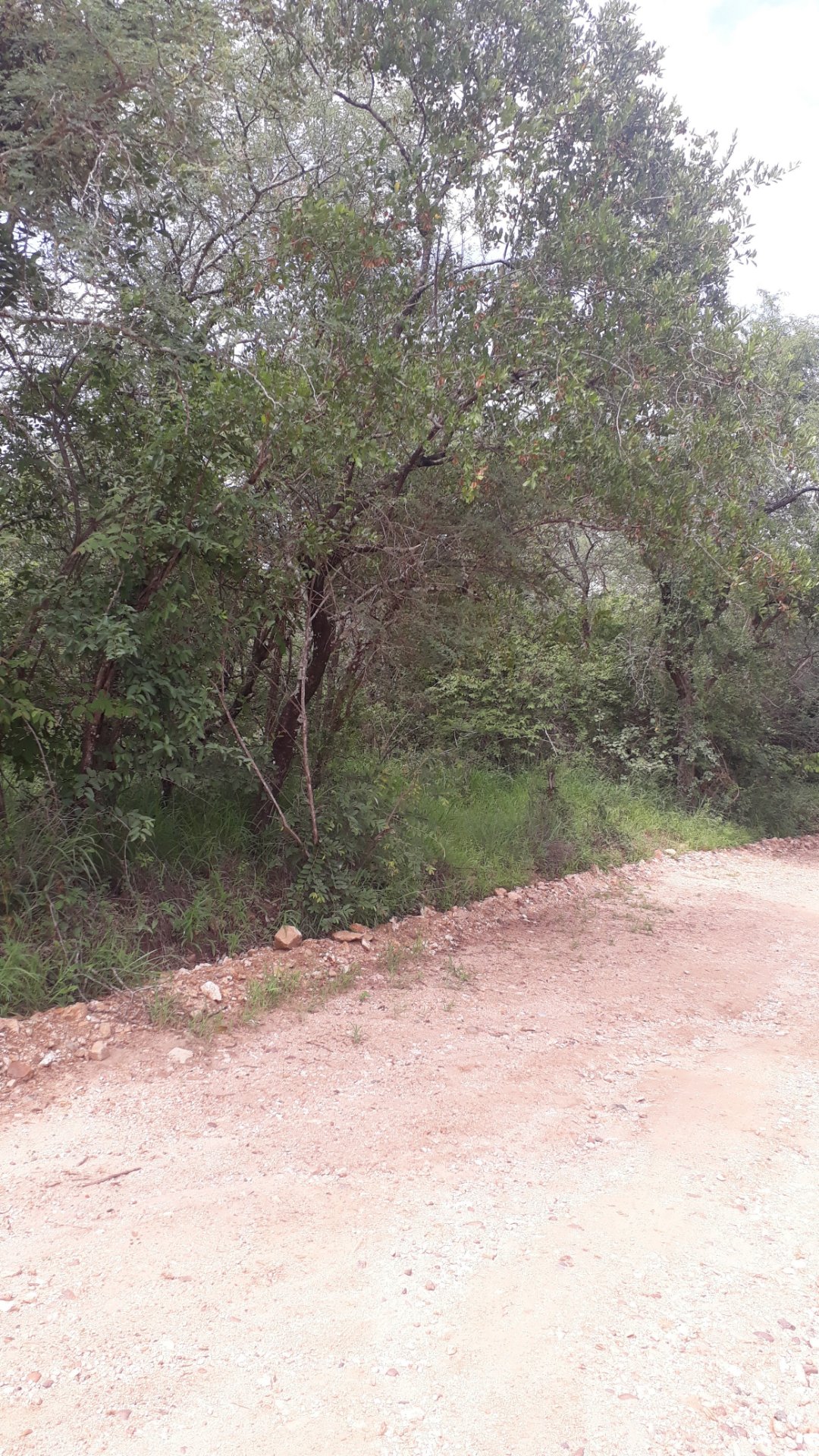 Land For Sale In Marloth Park