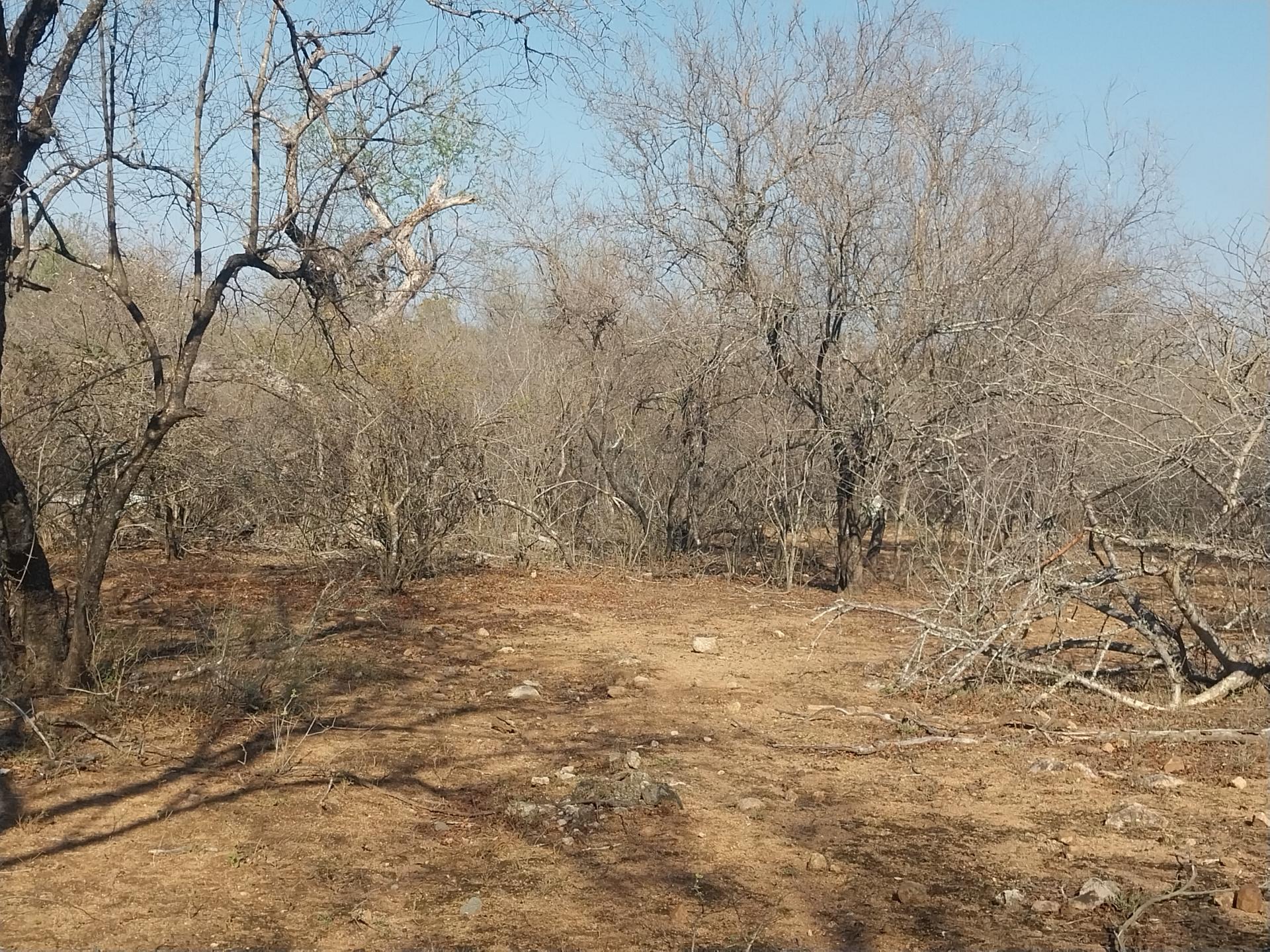 Land for sale , Marloth Park, Marloth Park Fine & Country