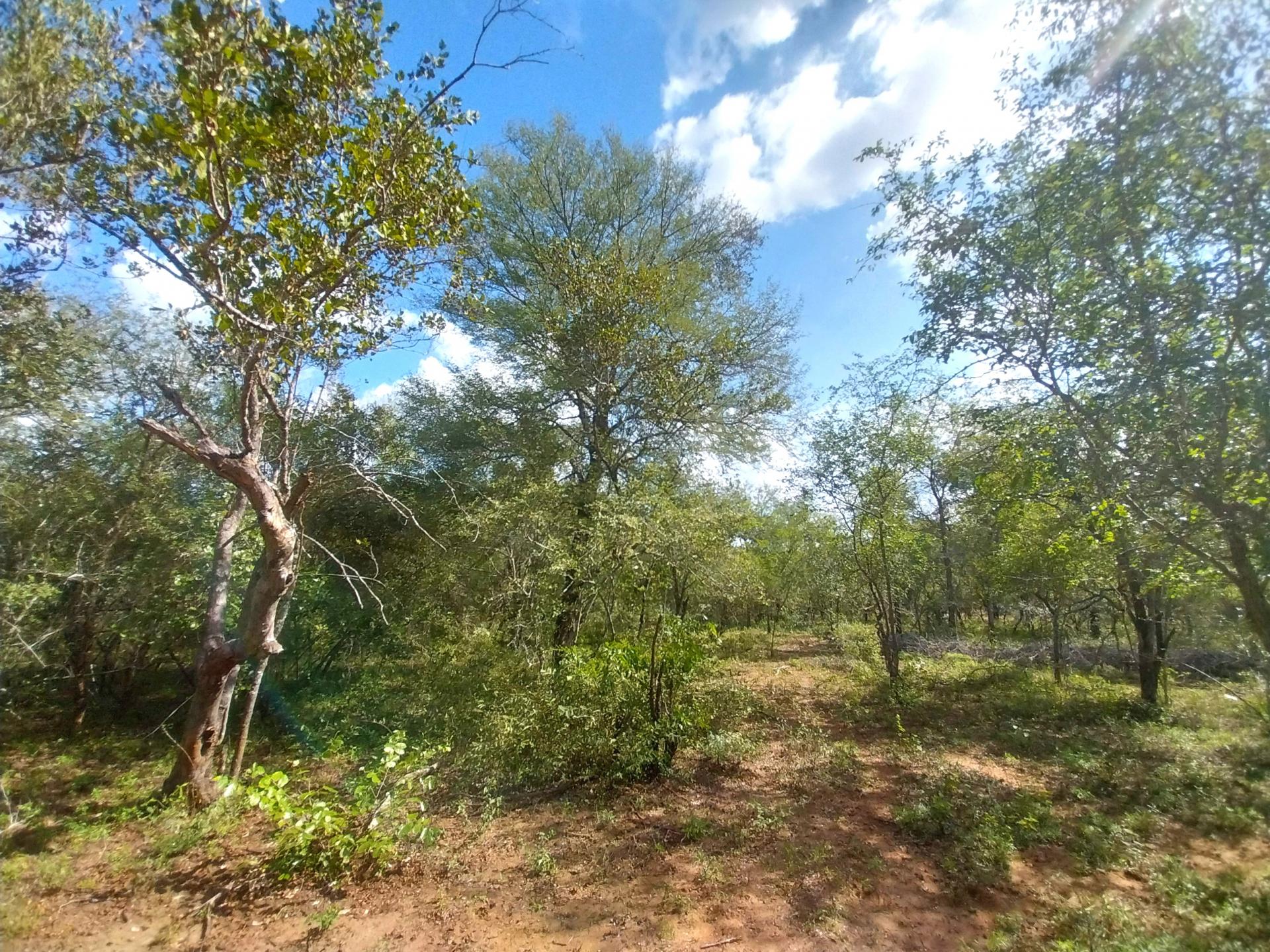 Land for sale , Marloth Park, Marloth Park Fine & Country