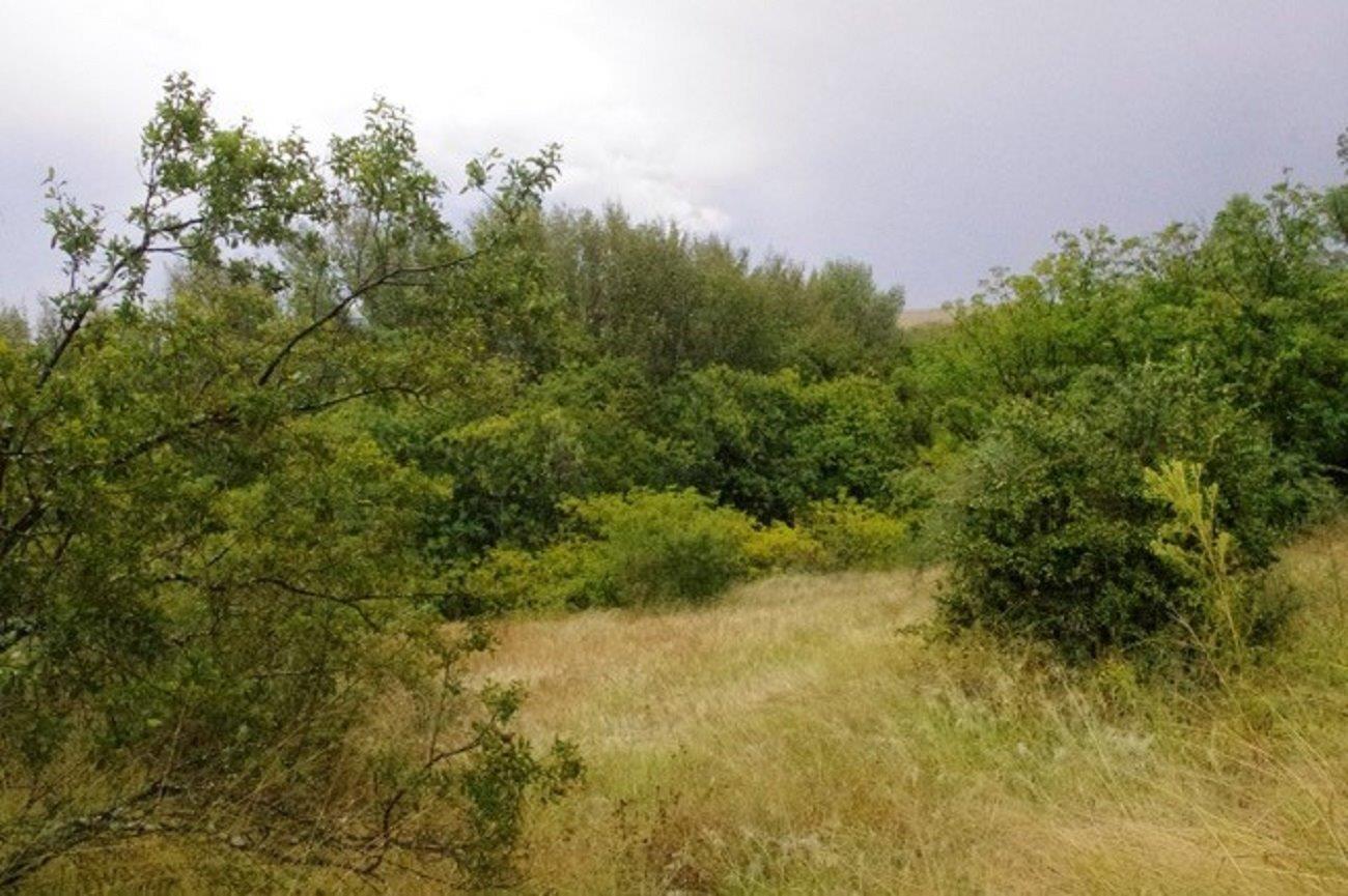 Land for sale , Blair Atholl Golf Estate, Centurion Fine & Country