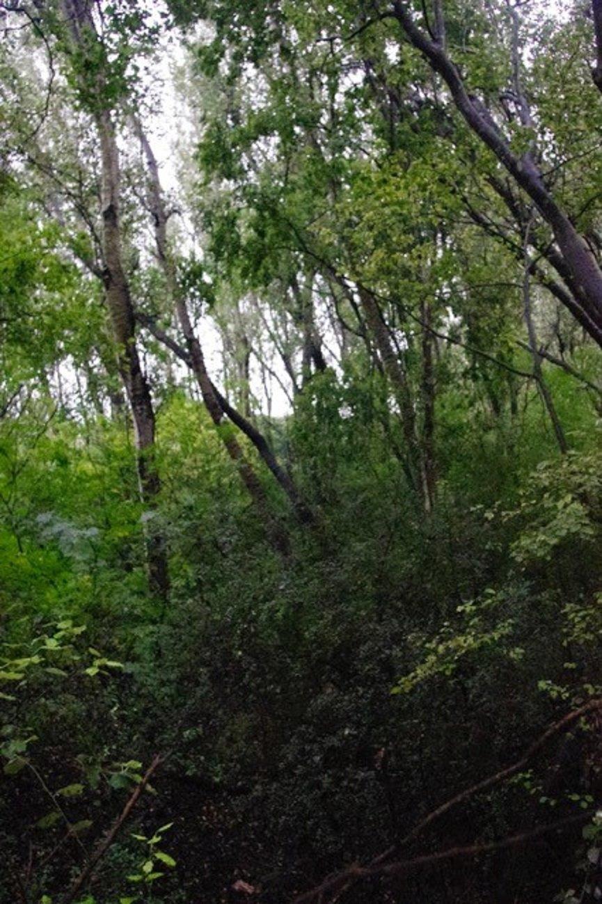 Land for sale , Blair Atholl Golf Estate, Centurion Fine & Country