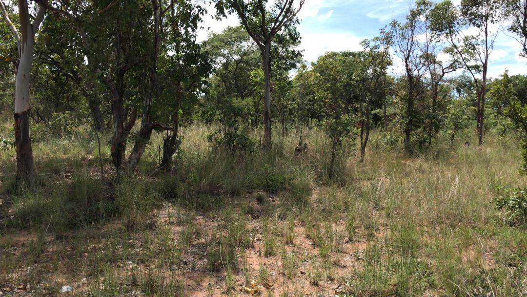 Farm Land for sale in Harare