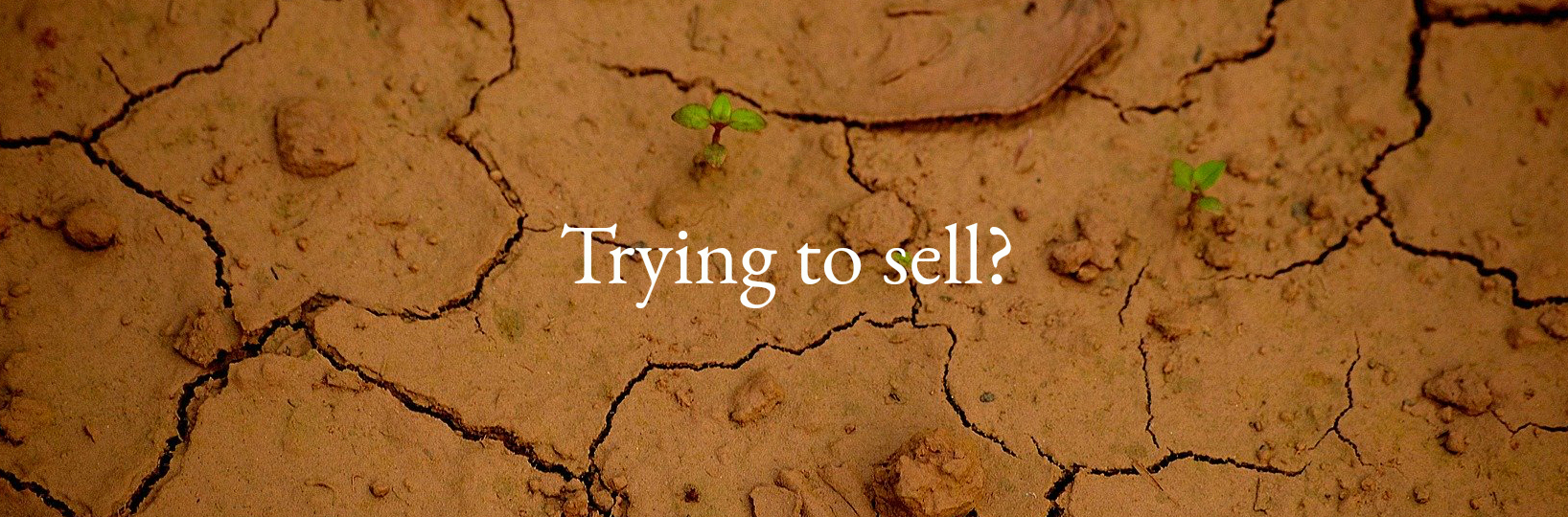 trying_to_sell