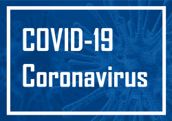 coronavirus20pic20for20website_small