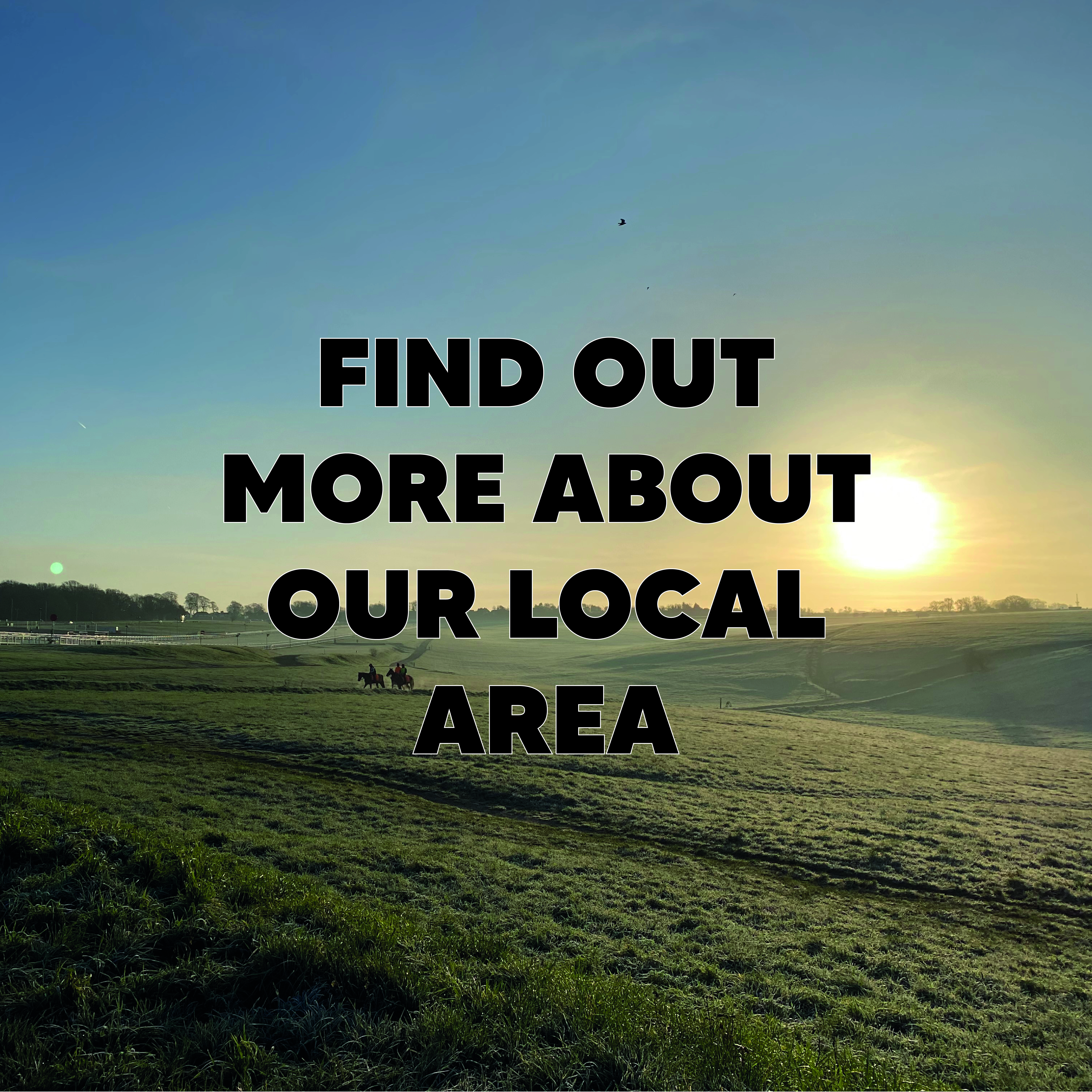 find_out_more_about_our_local_area