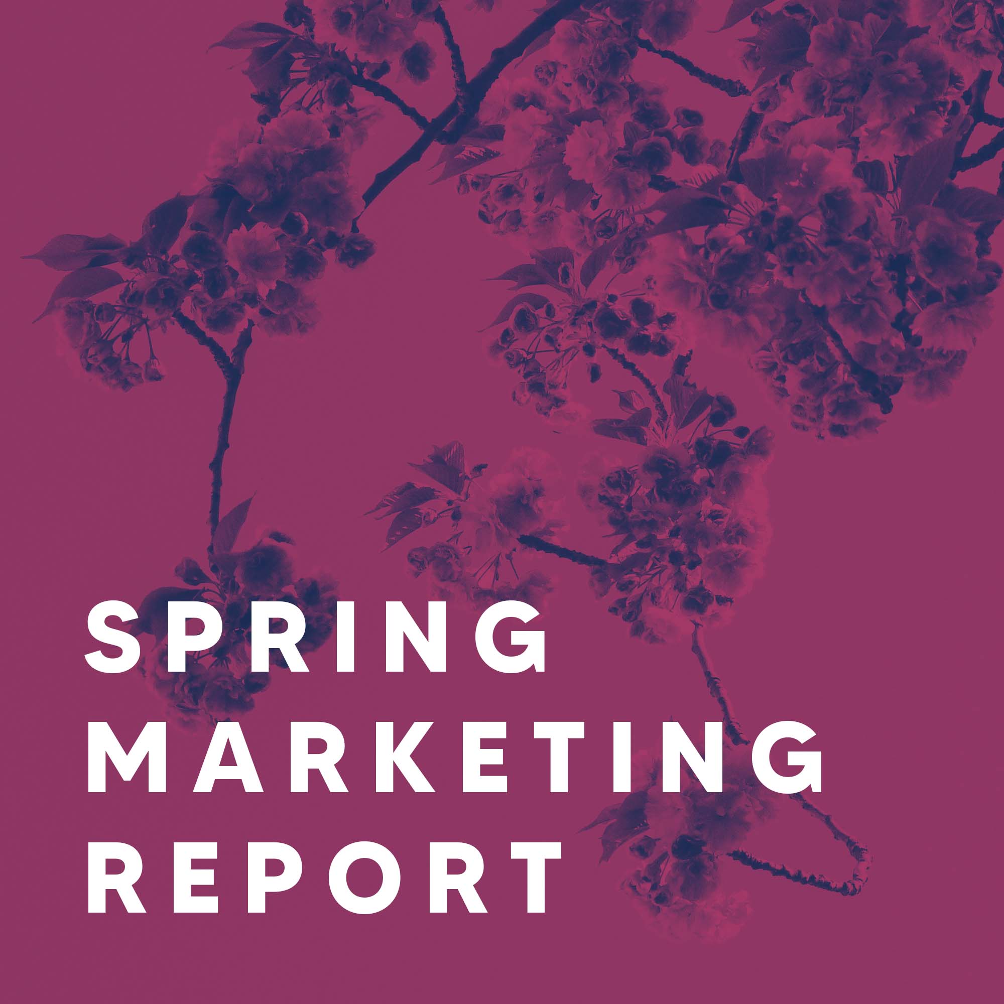 spring_marketing_report