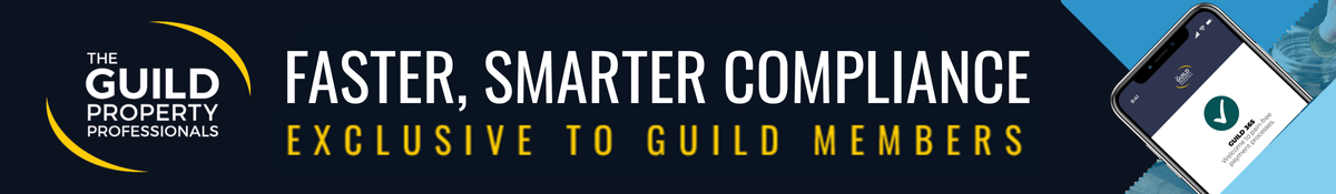 guild_website_banners_1_hd